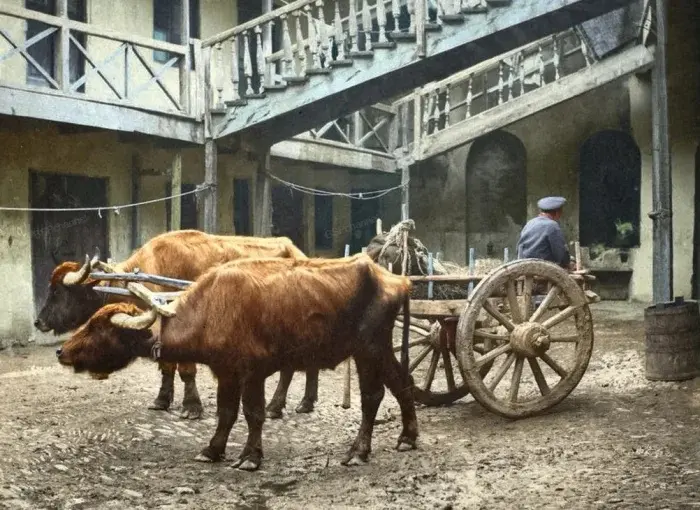Российская Империя на редких и удивительных снимках прошлого