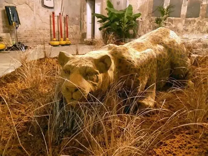 Песочные шедевры: 24 невероятные скульптуры из песка