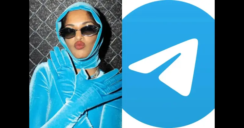 M.I.A. устроила сюрприз на Coachella в костюме-логотипе Telegram