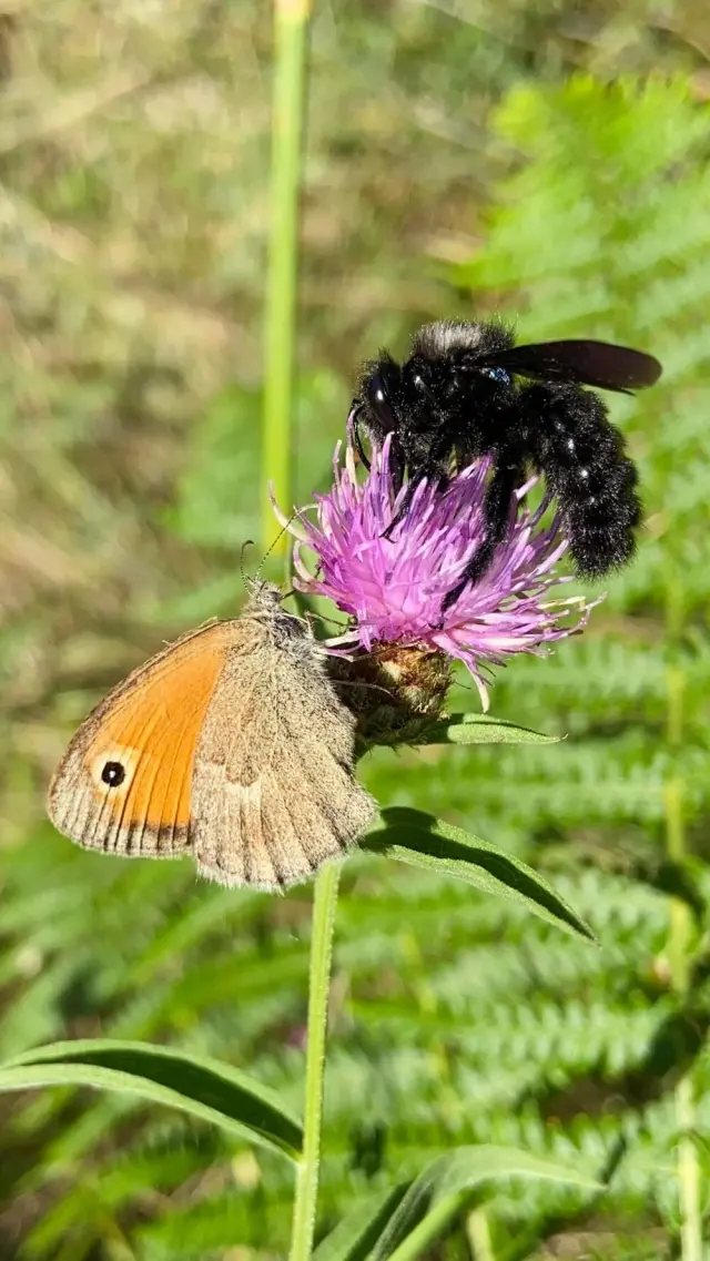 Дикая природа в минуты отдыха: 20 умилительных и забавных кадров