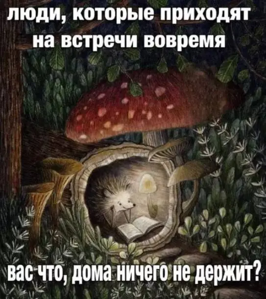 Смесь всего на свете: от троллинга до узнаваемых ситуаций