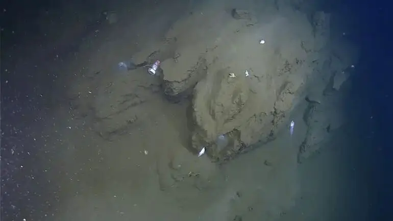 Неизвестная науке форма жизни и рекордные глубины: что нашли на дне Тихого океана