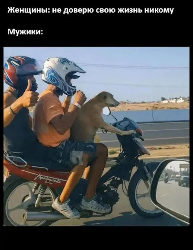 Смешно, метко и очень в точку: подборка прикольных картинок