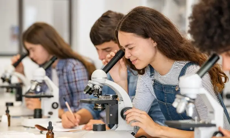 ЕГЭ по химии 2026: главные изменения и как не потерять баллы на ровном месте