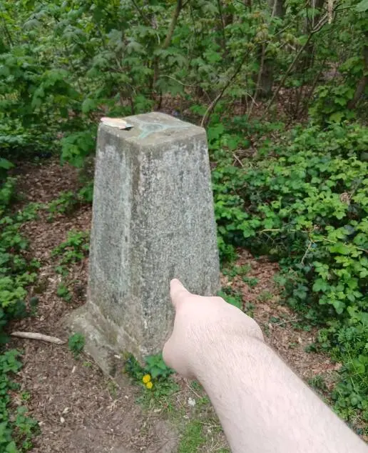 Загадки из реальной жизни, которые разгадали в сети