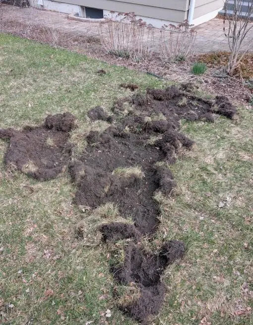 Загадки из реальной жизни, которые разгадали в сети