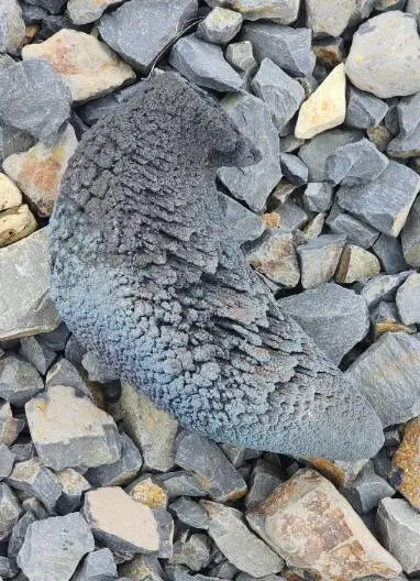 Загадки из реальной жизни, которые разгадали в сети