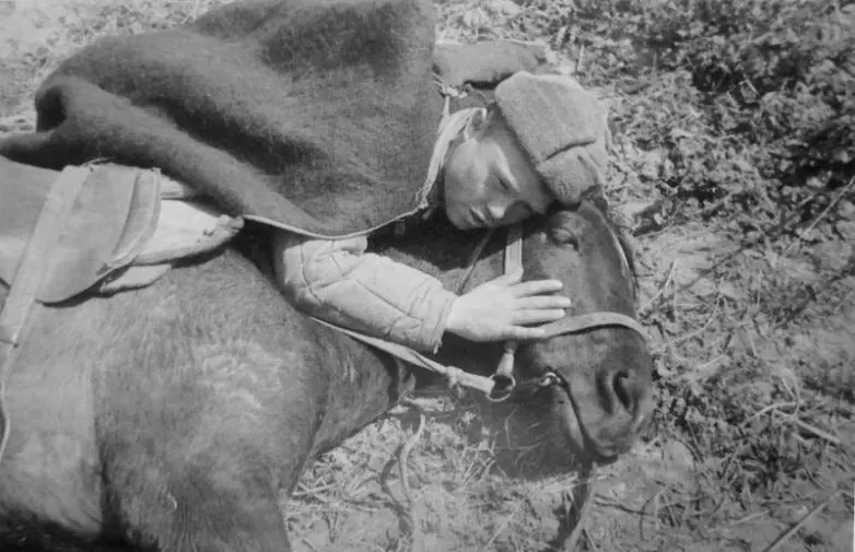 Архивные кадры: Великая Отечественная война в объективе фотокорреспондентов