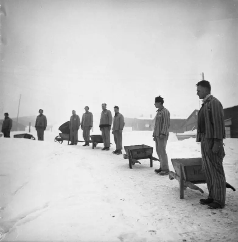 Архивные кадры: Великая Отечественная война в объективе фотокорреспондентов