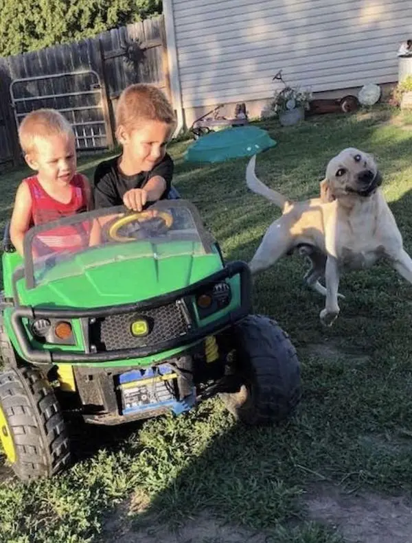 Улыбка до ушей: животные, которые поднимут настроение