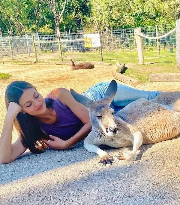 Улыбка до ушей: животные, которые поднимут настроение