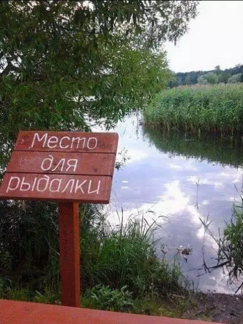 Пятничный заряд позитива: лучшие мемы и картинки