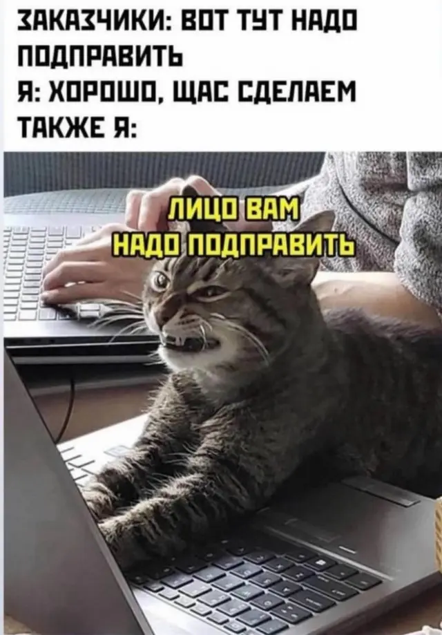 Пятничный заряд позитива: лучшие мемы и картинки