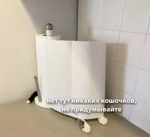 Пятничный заряд позитива: лучшие мемы и картинки