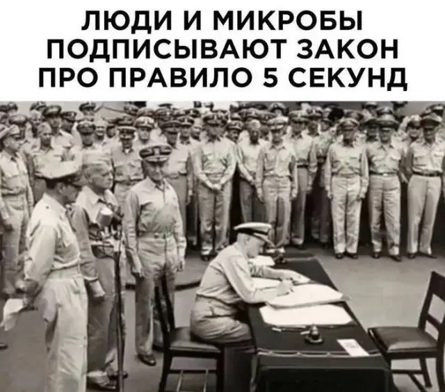 Пятничный заряд позитива: лучшие мемы и картинки