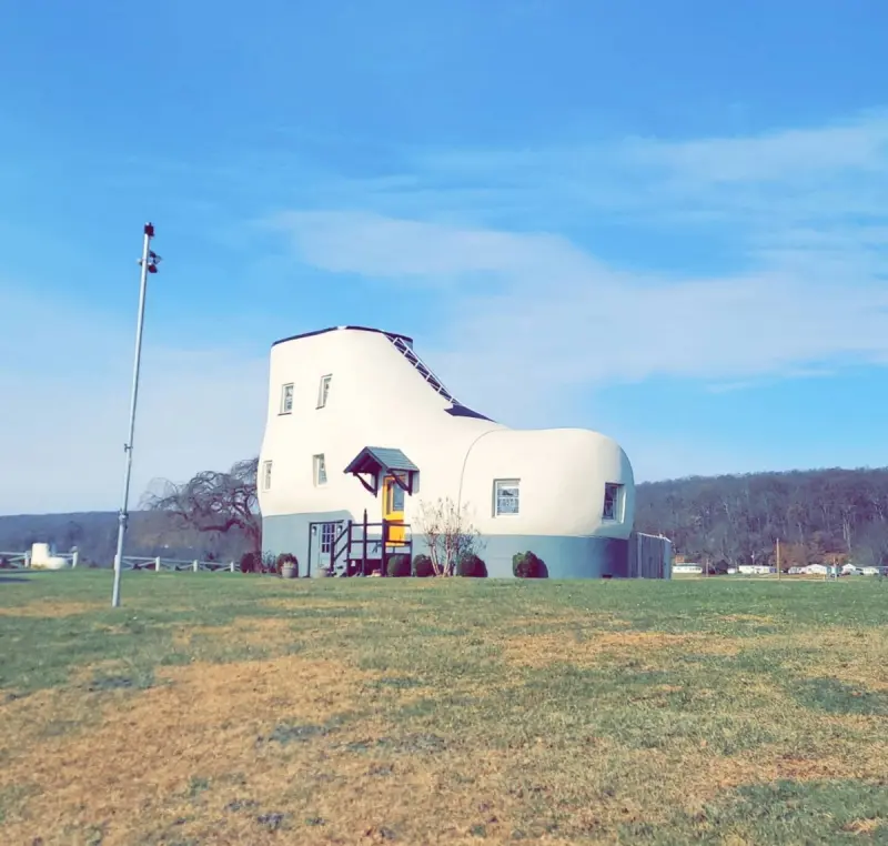 Взрыв позитива: свежие мемы для отличной пятницы