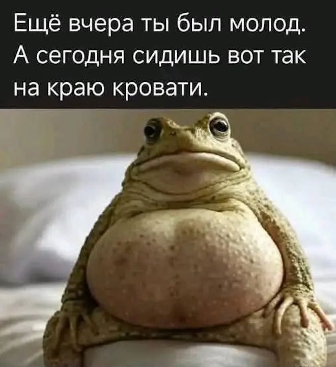 Взрыв позитива: свежие мемы для отличной пятницы