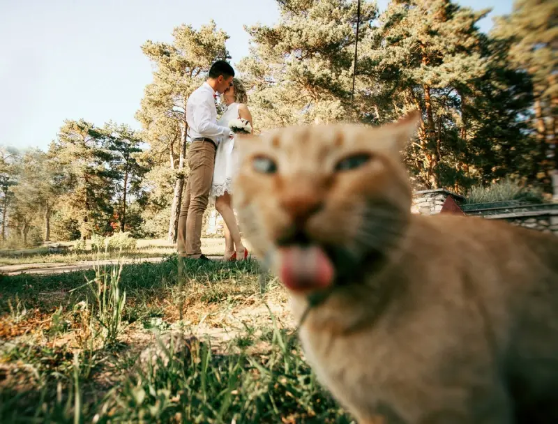 Взрыв позитива: свежие мемы для отличной пятницы