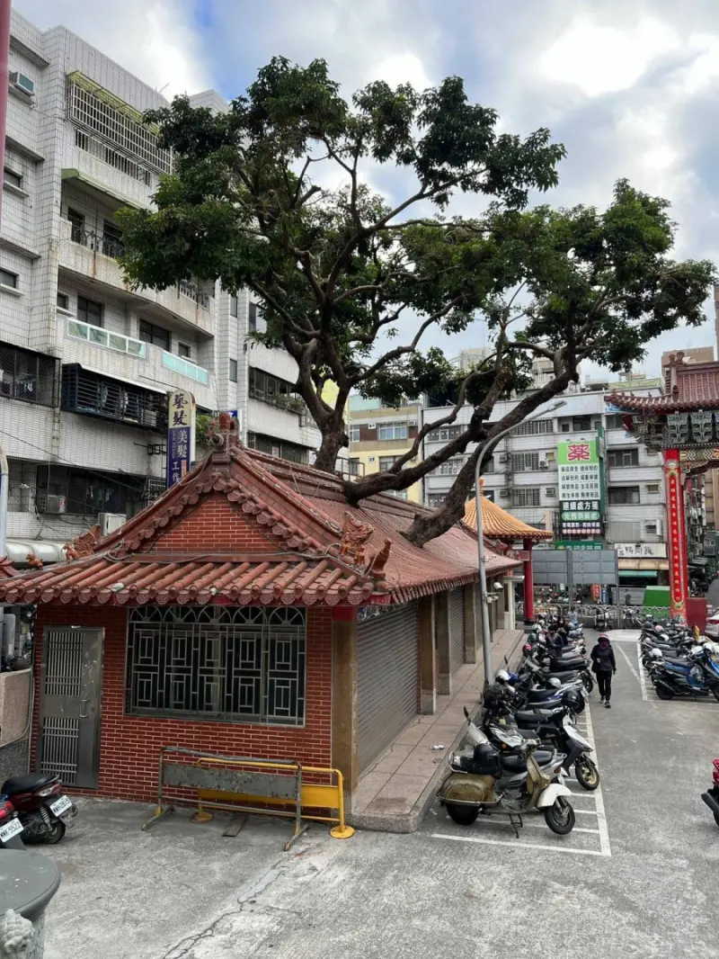 Взрыв позитива: свежие мемы для отличной пятницы