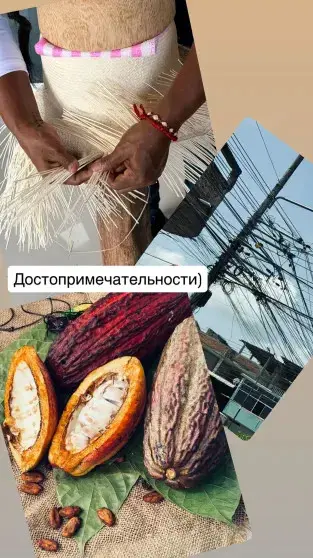 Звёзды в бизнес-круизе: Собчак, Самойлова и Расковалова покоряют Эквадор