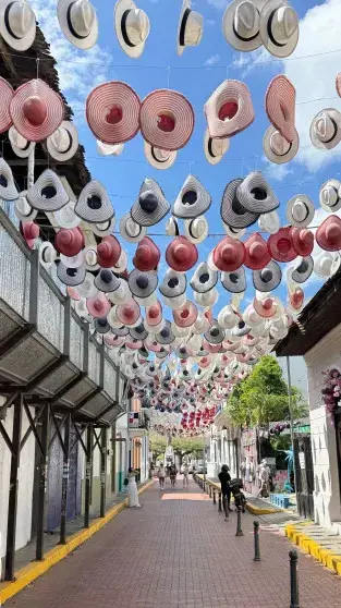 Звёзды в бизнес-круизе: Собчак, Самойлова и Расковалова покоряют Эквадор