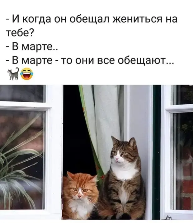 Смешные картинки и истории из жизни: от отношений до бытового юмора