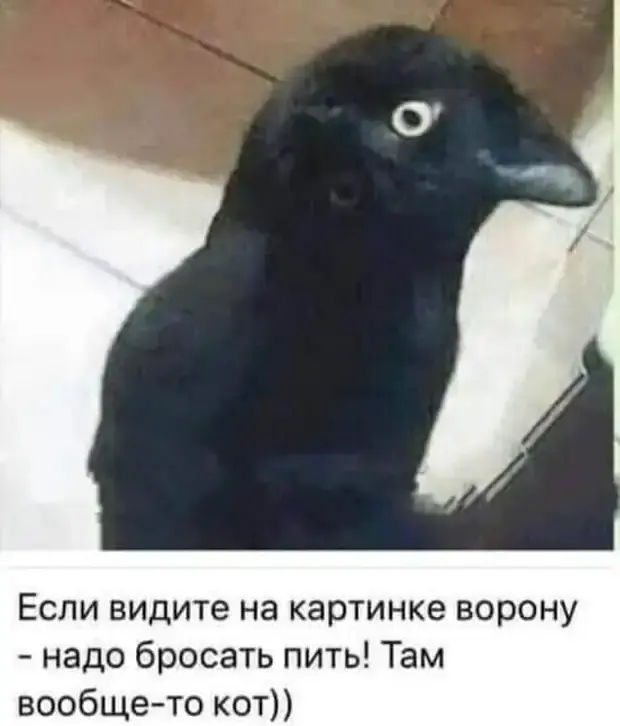 Смешные картинки и истории из жизни: от отношений до бытового юмора