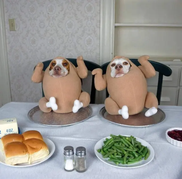 Безумный микс: странные фото для поднятия настроения