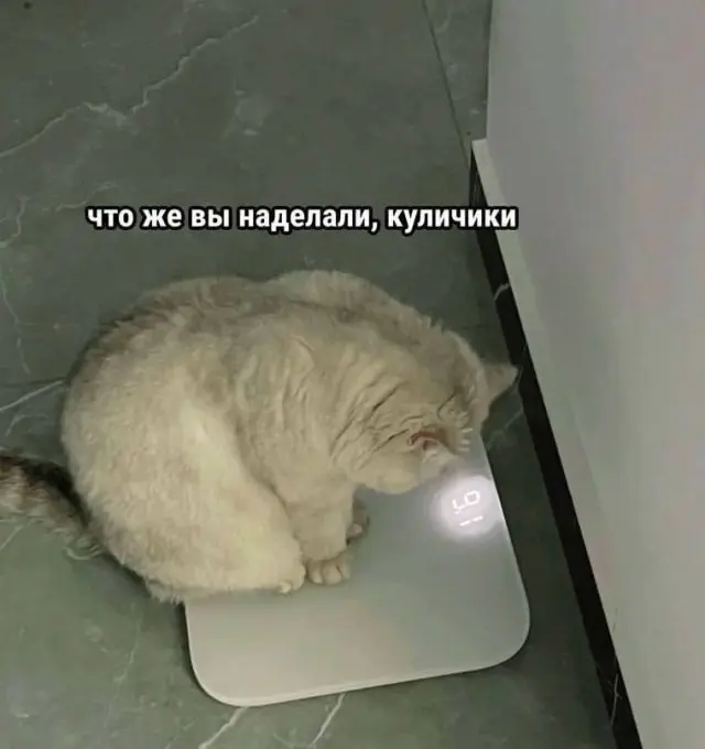 Безумный микс: странные фото для поднятия настроения