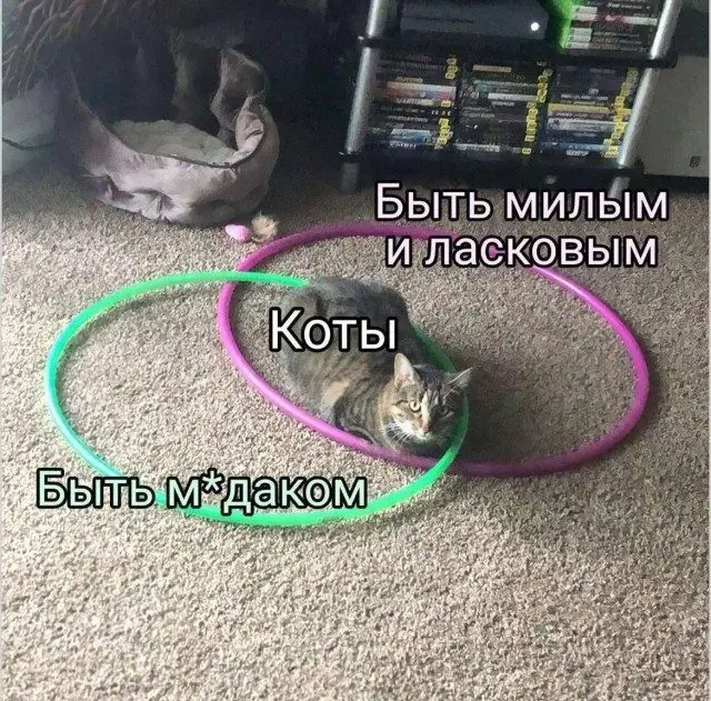 Портал в параллельную реальность с юмором