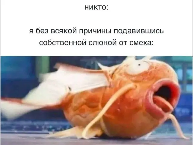 Смешные картинки для поднятия настроения: портал в весёлый мир Портал в параллельную реальность с юмором