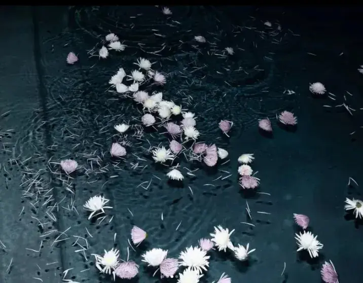 Аня Тейлор-Джой в архивном платье отпраздновала свой 30-й день рождения