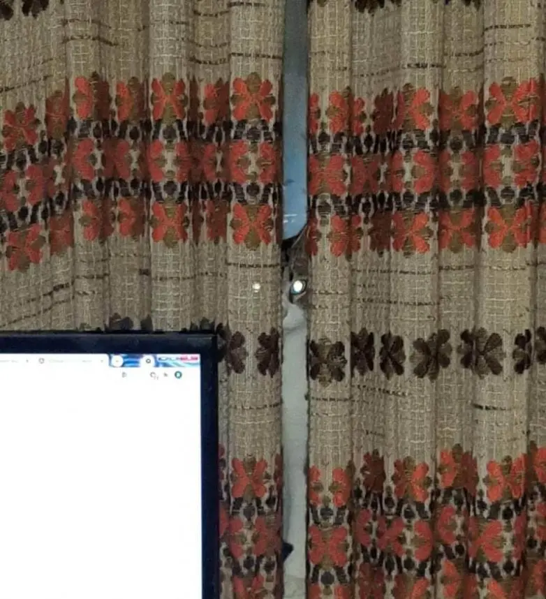 Кошки-невидимки: Когда попытка спрятаться оборачивается комедией