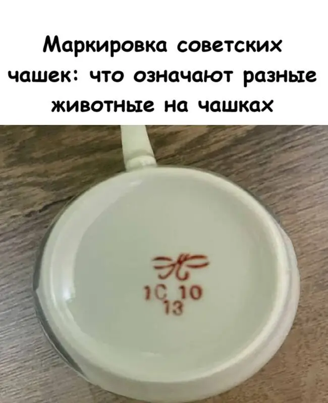 Тайные знаки на дне: что скрывают животные на советских чашках
