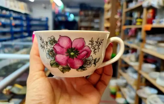 Тайные знаки на дне: что скрывают животные на советских чашках