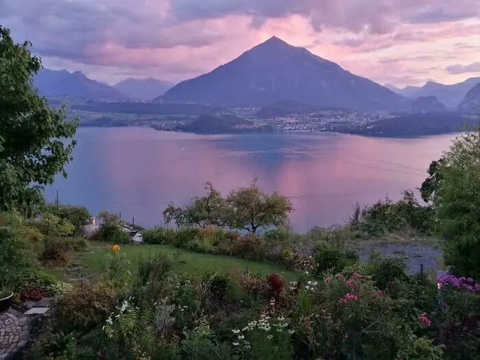 Лучшие садовые фотографии от сообщества Reddit: цветочное безумие и гордость за урожай