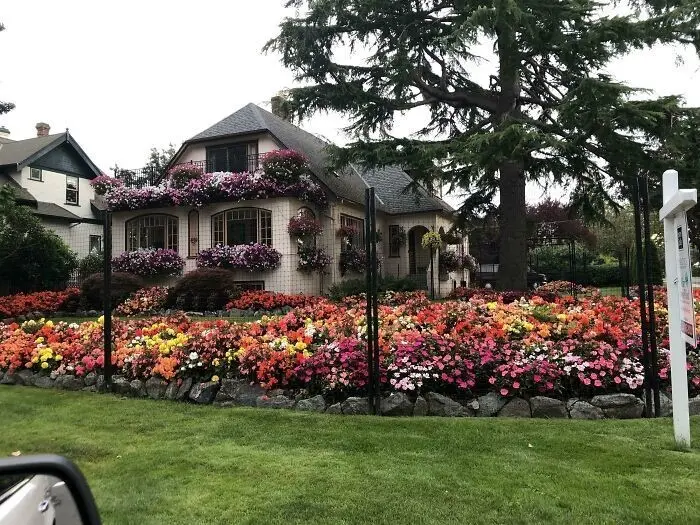 Лучшие садовые фотографии от сообщества Reddit: цветочное безумие и гордость за урожай