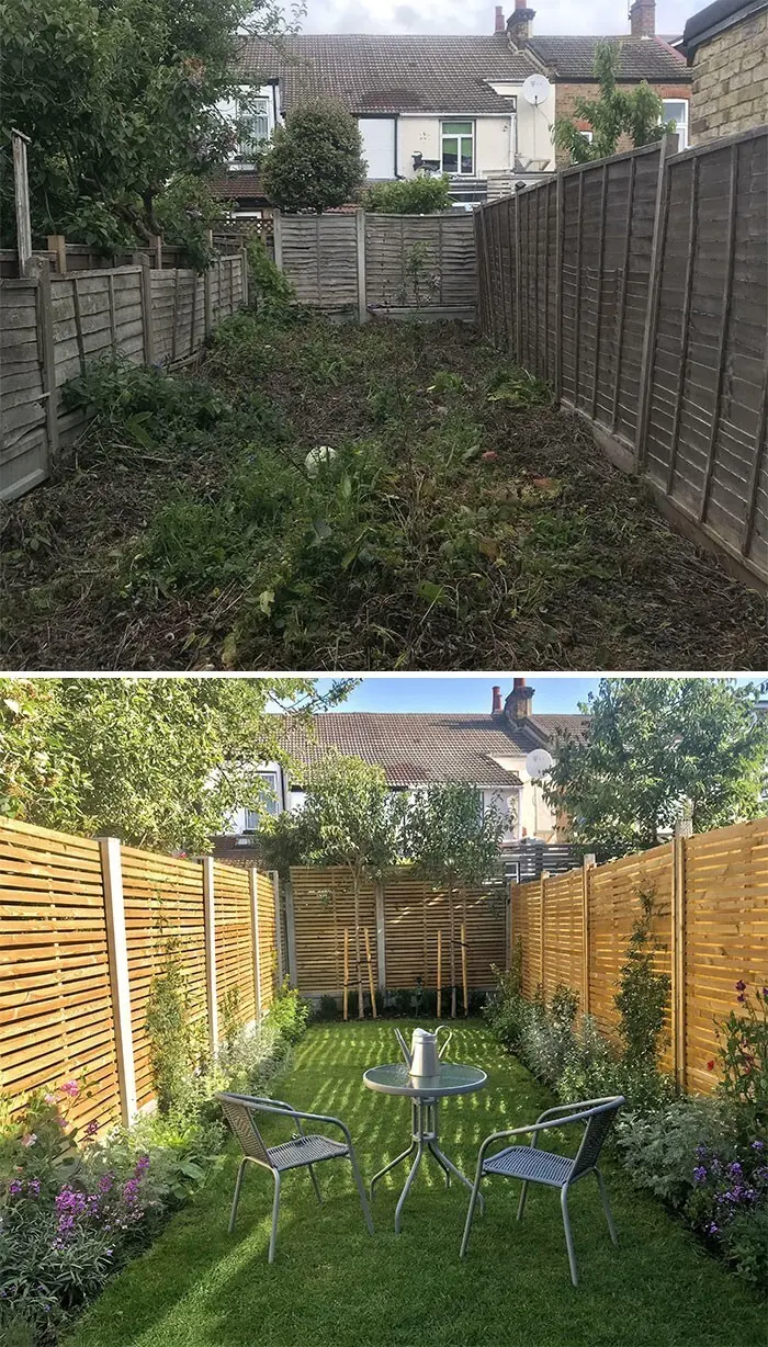 Лучшие садовые фотографии от сообщества Reddit: цветочное безумие и гордость за урожай