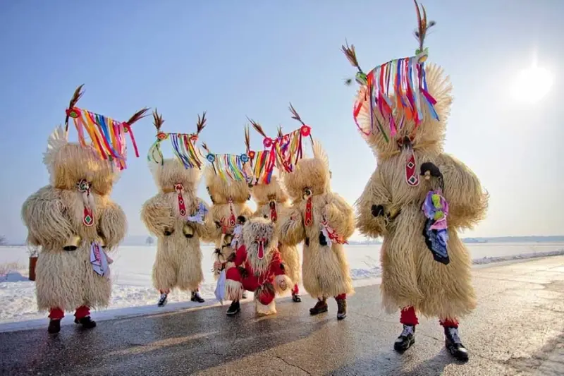 Красота в деталях: подборка удивительных фотографий