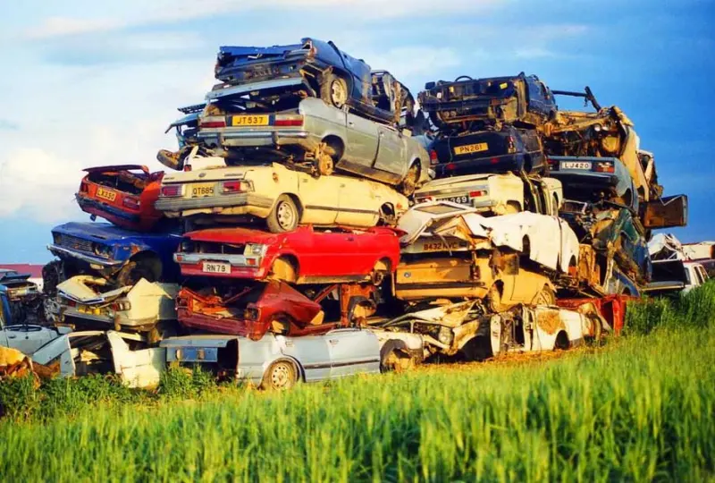 Красота в деталях: подборка удивительных фотографий