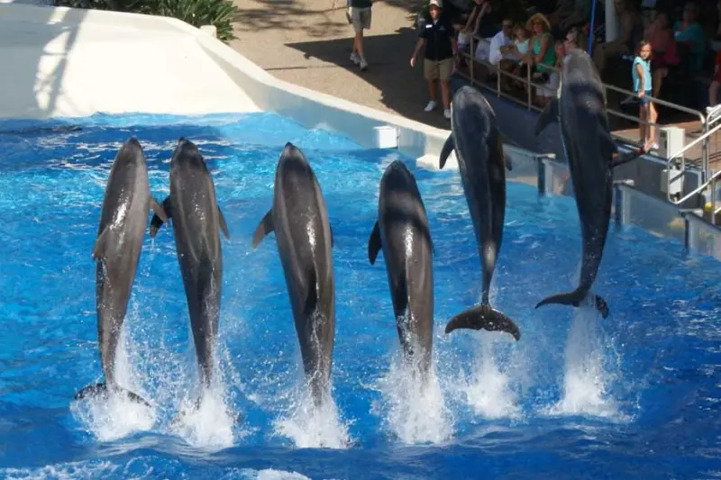 Красота в деталях: подборка удивительных фотографий