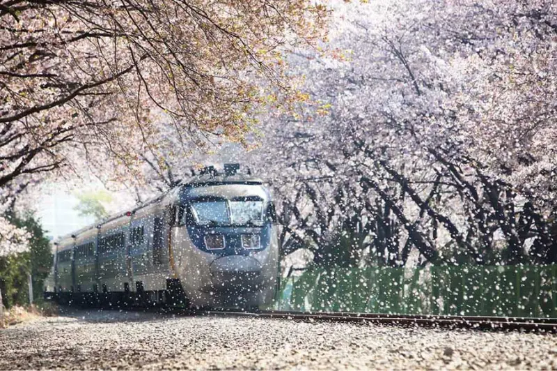 Красота в деталях: подборка удивительных фотографий