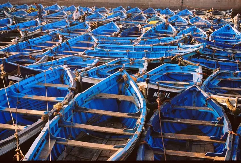 Красота в деталях: подборка удивительных фотографий