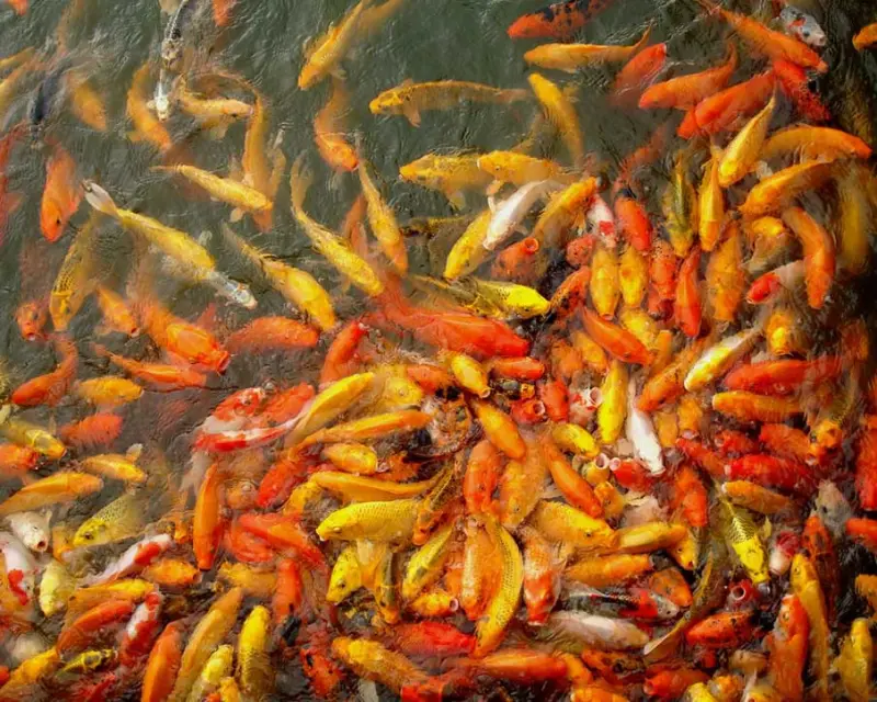 Красота в деталях: подборка удивительных фотографий