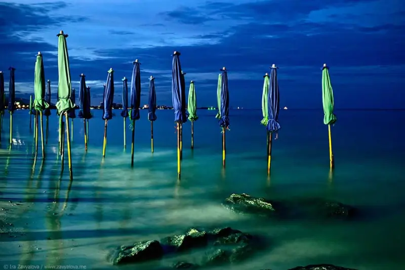 Красота в деталях: подборка удивительных фотографий