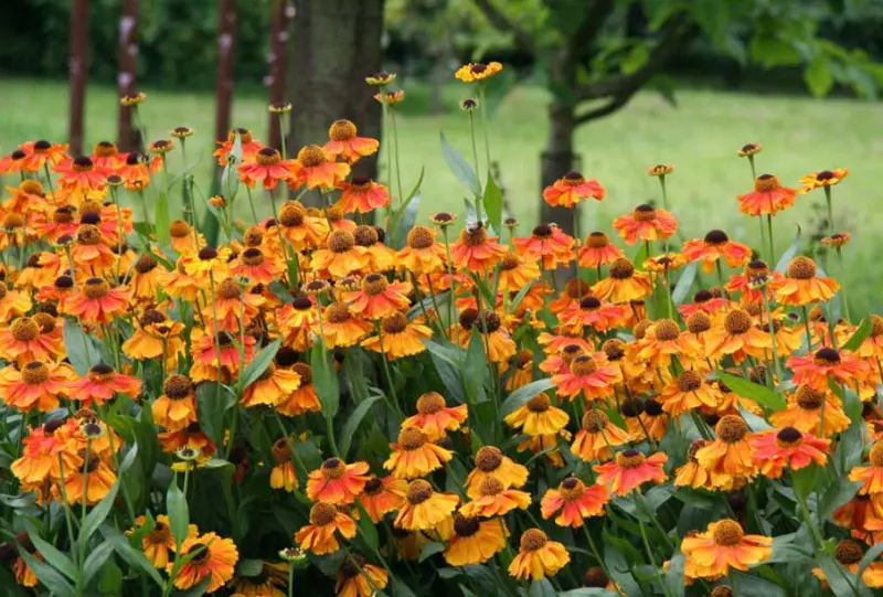 Красота в деталях: подборка удивительных фотографий