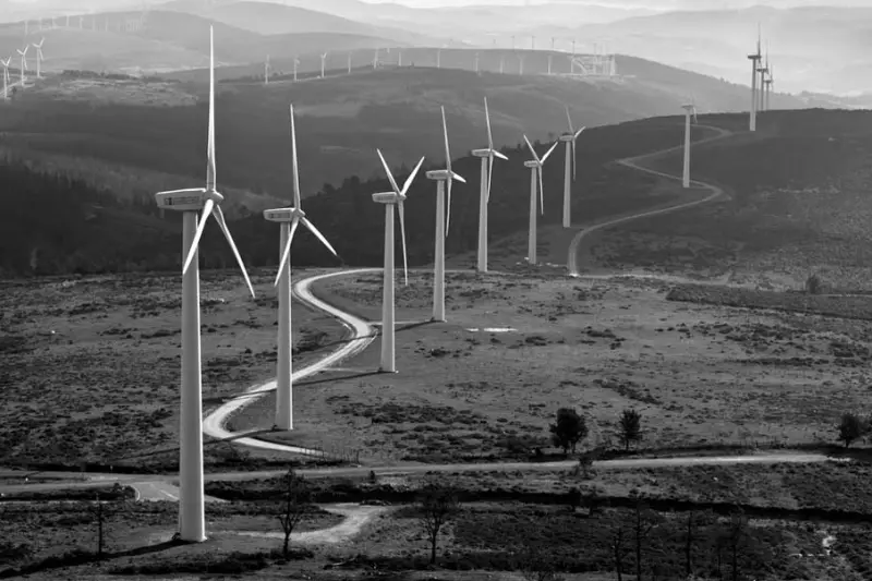 Красота в деталях: подборка удивительных фотографий