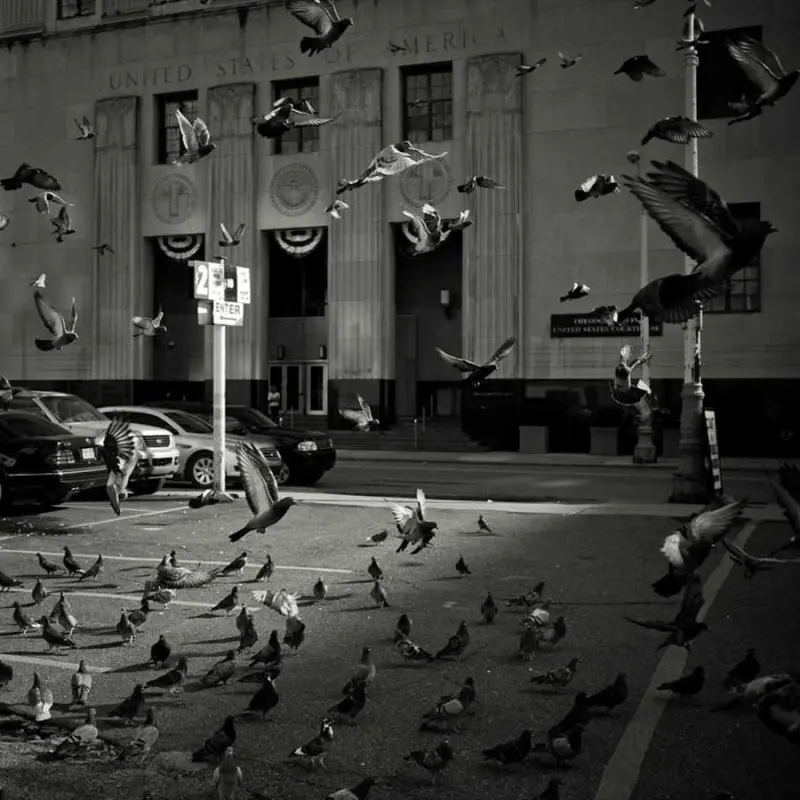 Красота в деталях: подборка удивительных фотографий