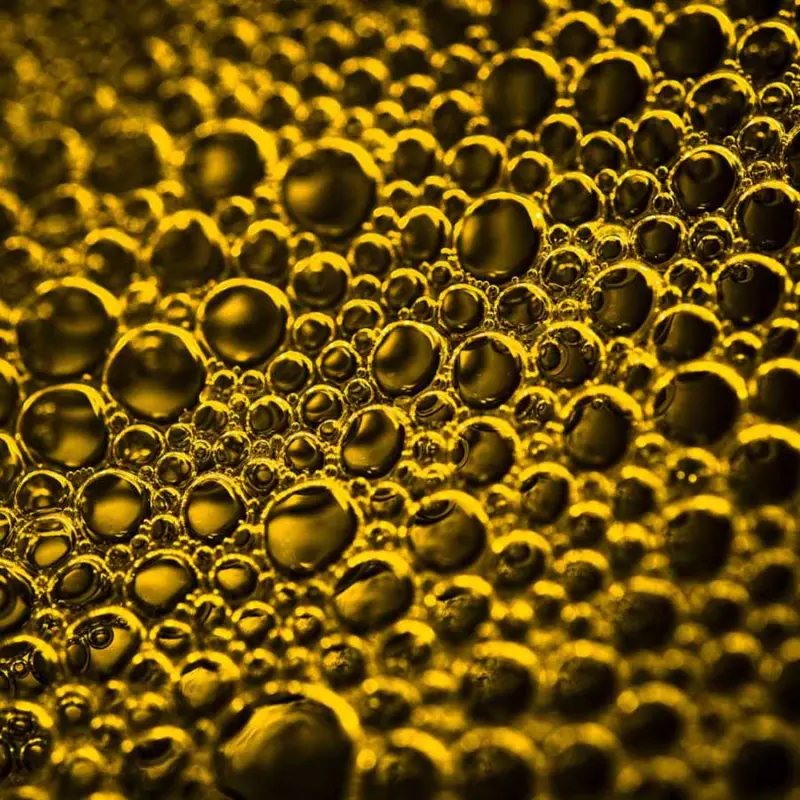 Красота в деталях: подборка удивительных фотографий