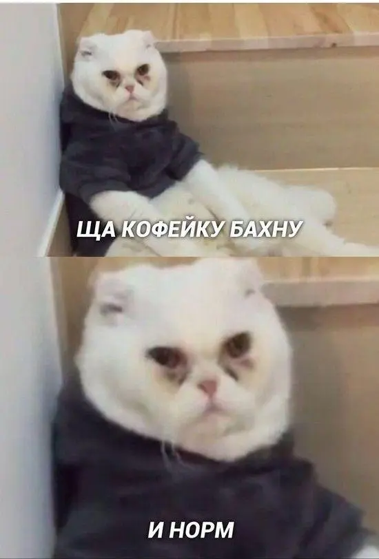 Кофейный юмор: мемы темнее эспрессо